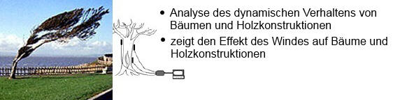 Dynatim Analyse des dynamischen Verhaltens von Bäumen und Holzkonstruktionen