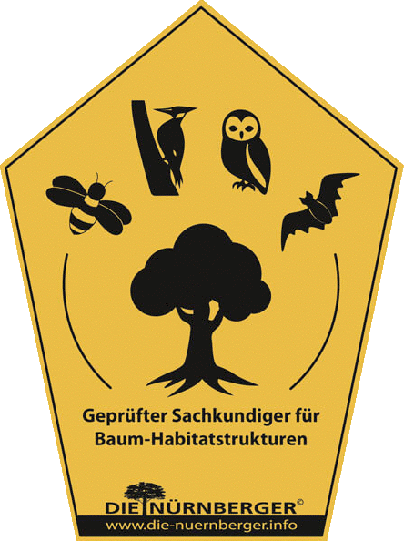 Baum-Habitatstrukturen