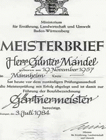 Meisterbrief Günter Mandel